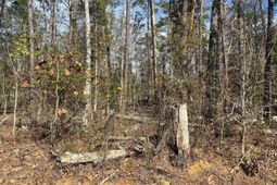 Holley Ferry Road  photo 4