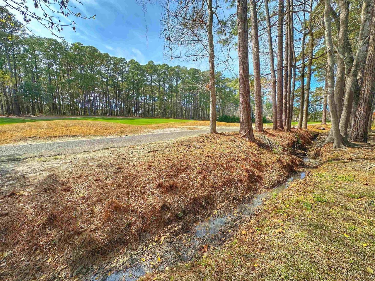 3174 River Bluff Ln. Photo 42