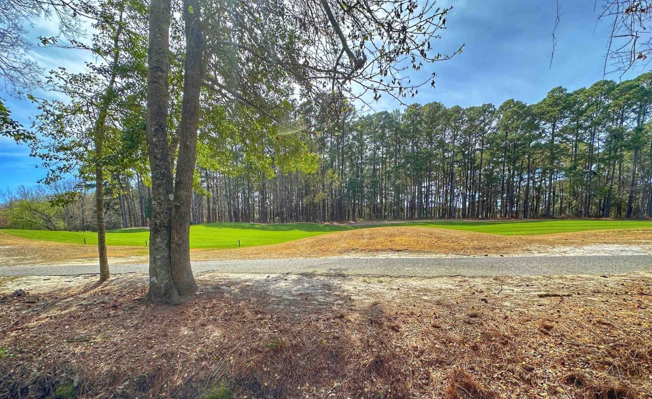 3174 River Bluff Ln. Photo 44