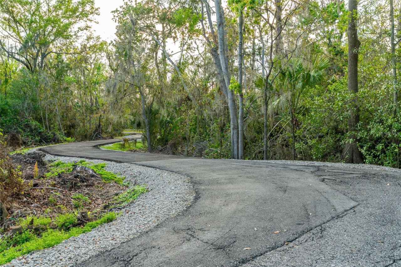 2802 Hammock Drive, Plant City, FL 33566 Photo