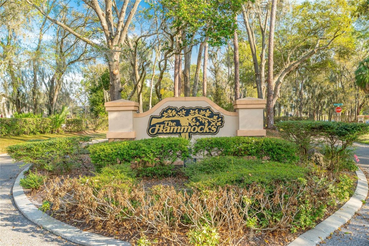 2802 Hammock Drive, Plant City, FL 33566 Photo