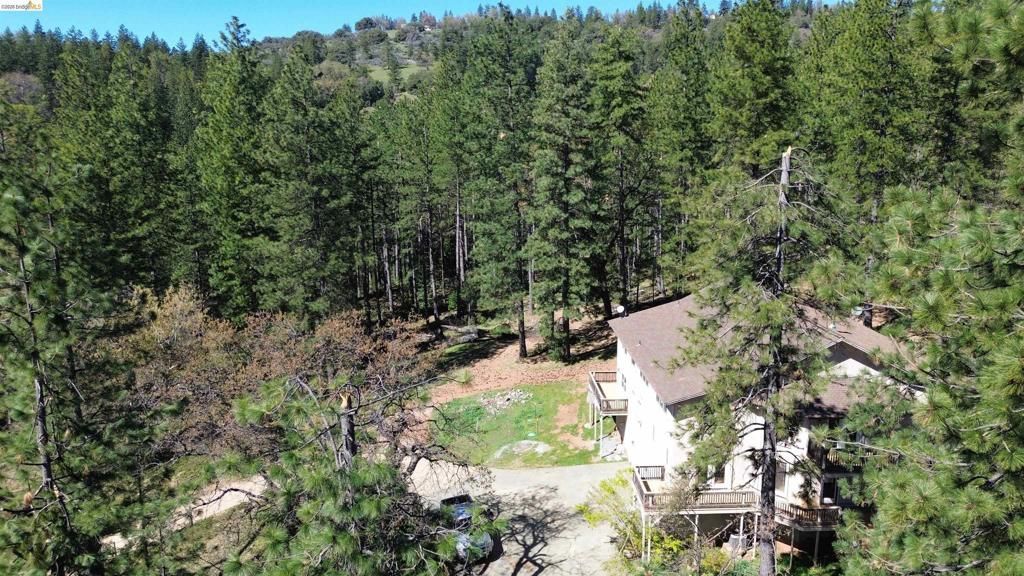 3715 Bald Mountain Rd, West Point, CA 95255 Main Photo
