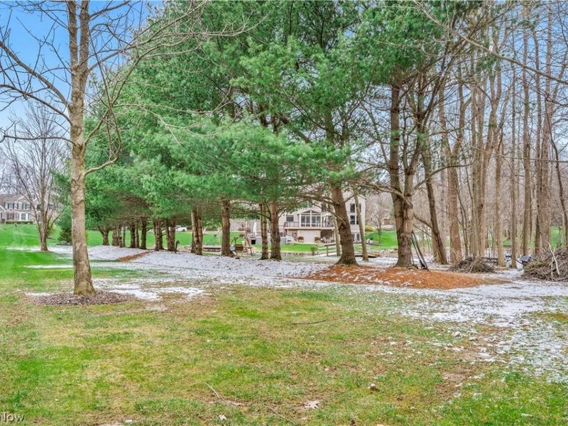 4242 Tall Trees Trail , Medina, OH 44256 Photo 48