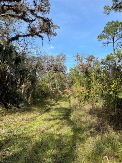 Secretariat Dr, Labelle, FL 33935 Photo