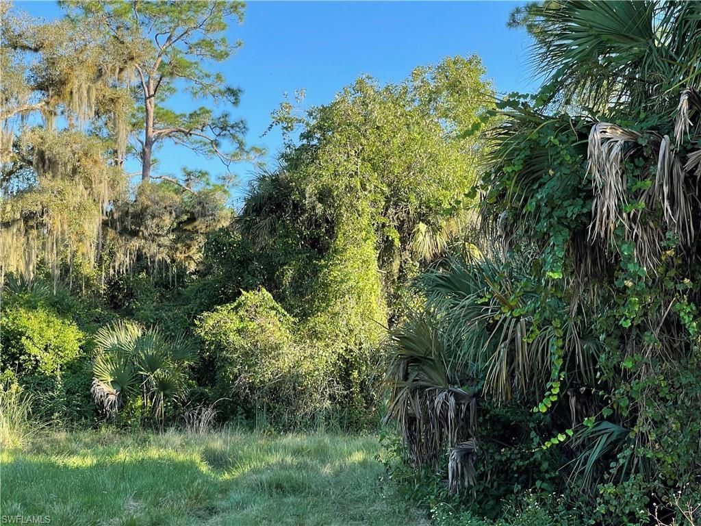 Secretariat Dr, Labelle, FL 33935 Photo