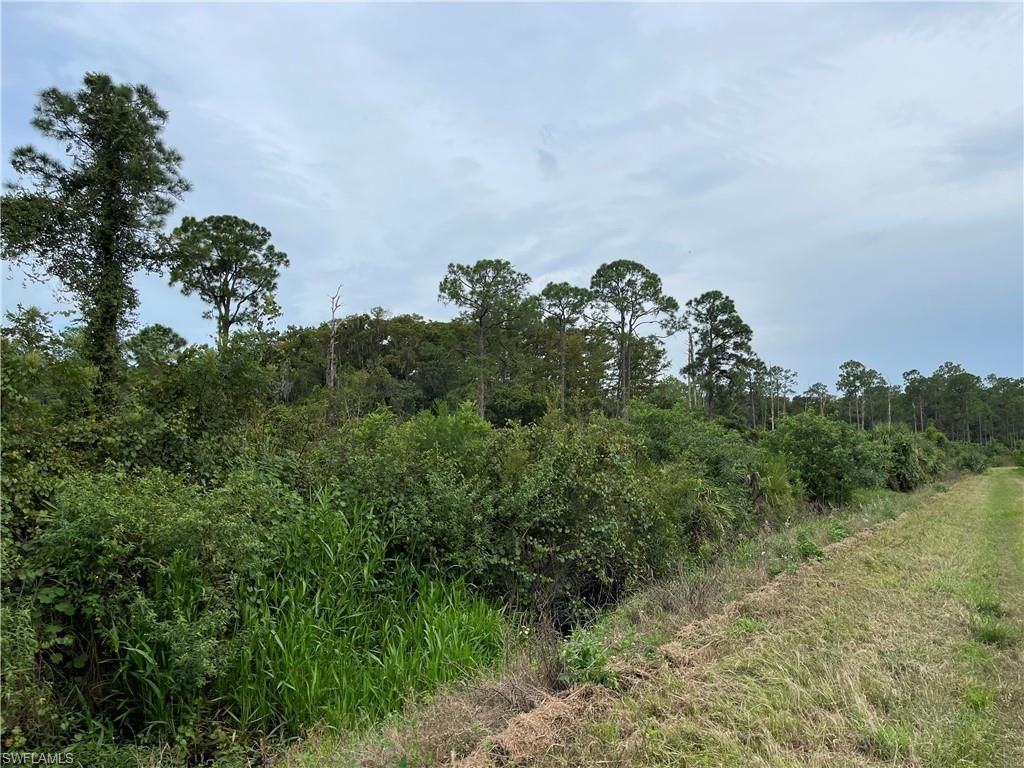 Secretariat Dr, Labelle, FL 33935 Photo