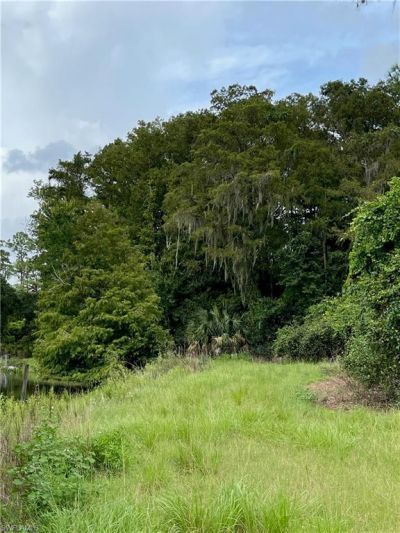 Secretariat Dr, Labelle, FL 33935 Photo