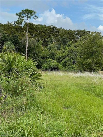 Secretariat Dr, Labelle, FL 33935 Photo