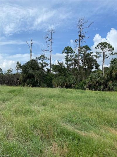 Secretariat Dr, Labelle, FL 33935 Photo