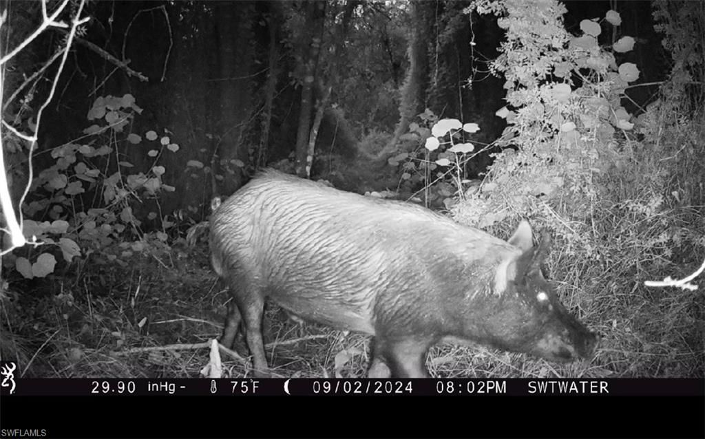 Secretariat Dr, Labelle, FL 33935 Photo