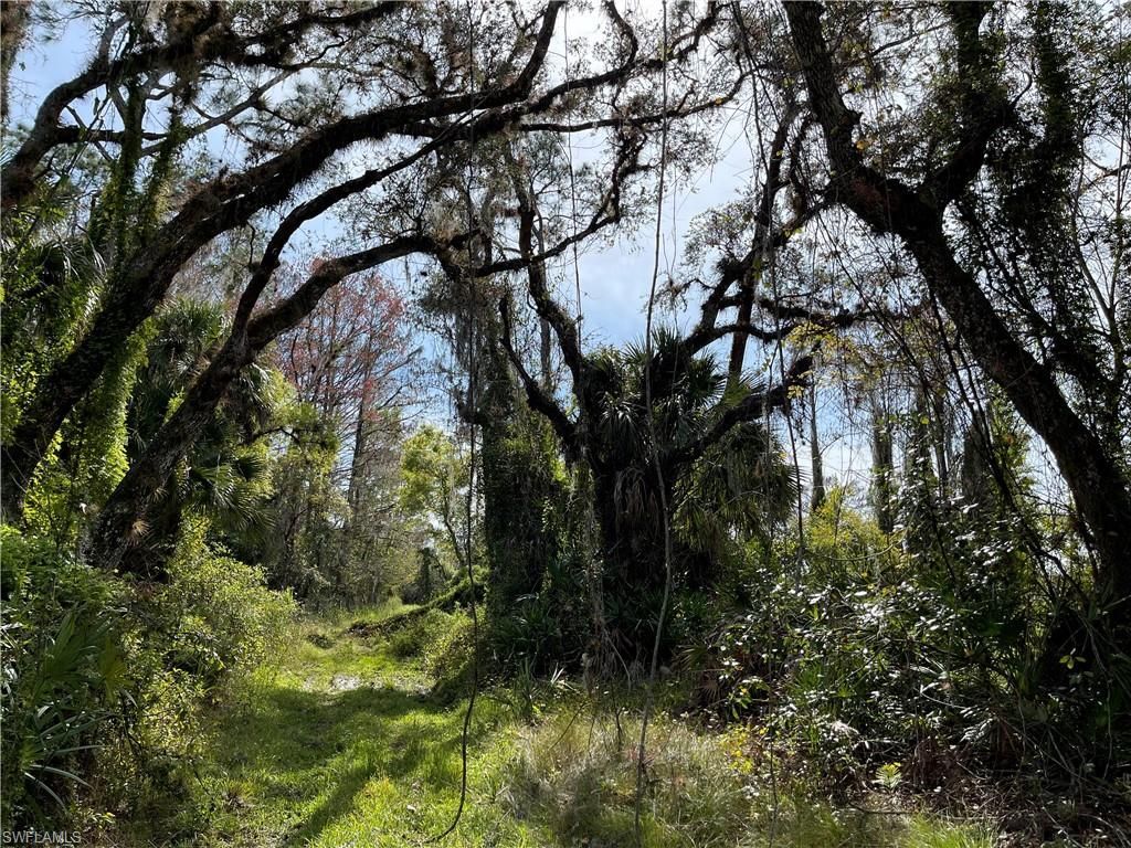 Secretariat Dr, Labelle, FL 33935 Photo