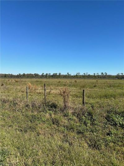 Secretariat Dr, Labelle, FL 33935 Photo