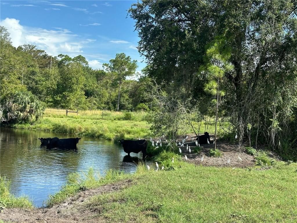 Secretariat Dr, Labelle, FL 33935 Photo