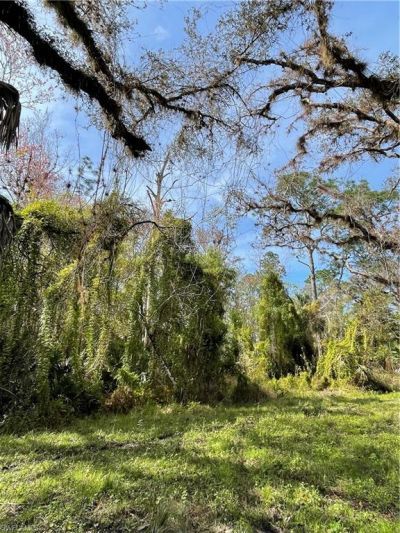 Secretariat Dr, Labelle, FL 33935 Photo