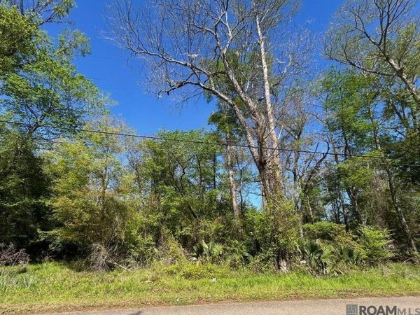 Lot 23 La Trace Rd, Livingston, LA 70754