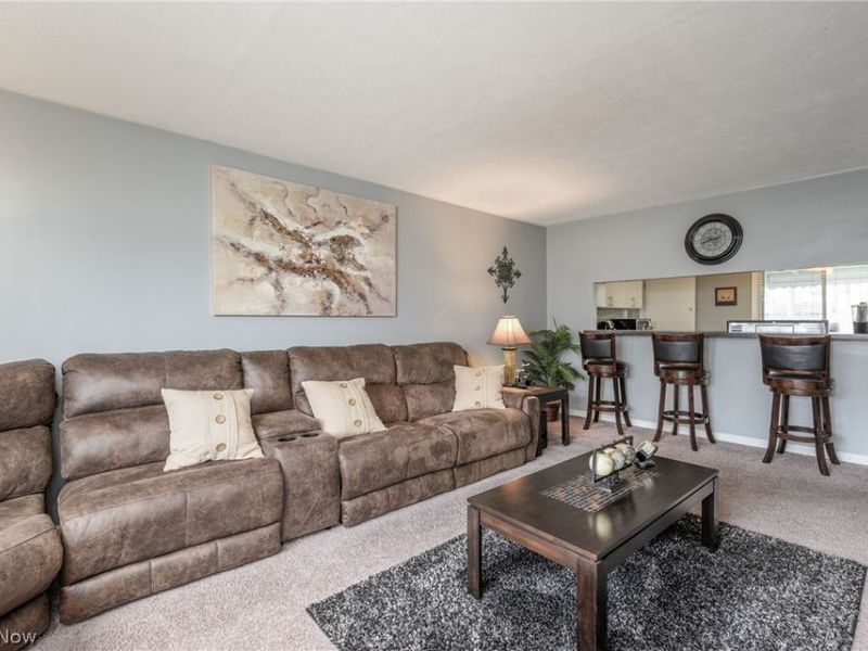 9102 Tanglewood Road, Macedonia, OH 44056 Photo 5