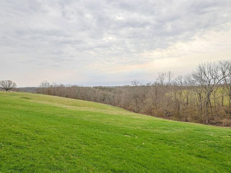 1679 Hackett Ridge Road, Brooksville, KY 41004 Photo 36