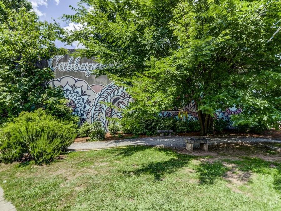 Property Image 61