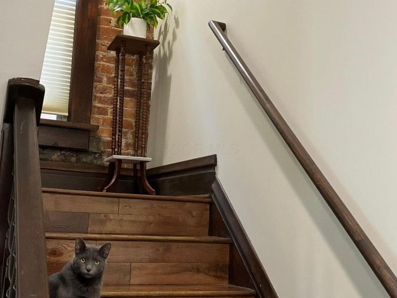 117 Miami Avenue, Columbus, OH 43203 Photo 9