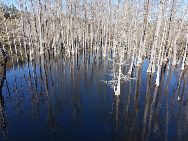 0 Macedonia Rd., Petal, MS 39465