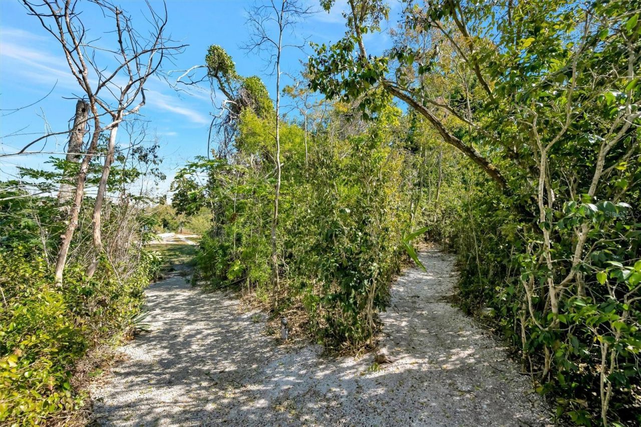 4237 Higel Avenue, Sarasota, FL 34242 Photo