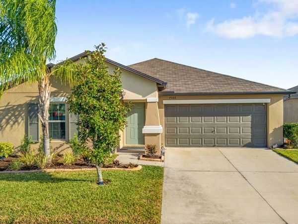 7166 SAMUEL IVY DRIVE , TAMPA, FL 33619