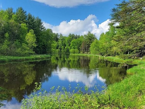 8 acres on SUGAR BUSH ROAD, Park Falls, WI 54552