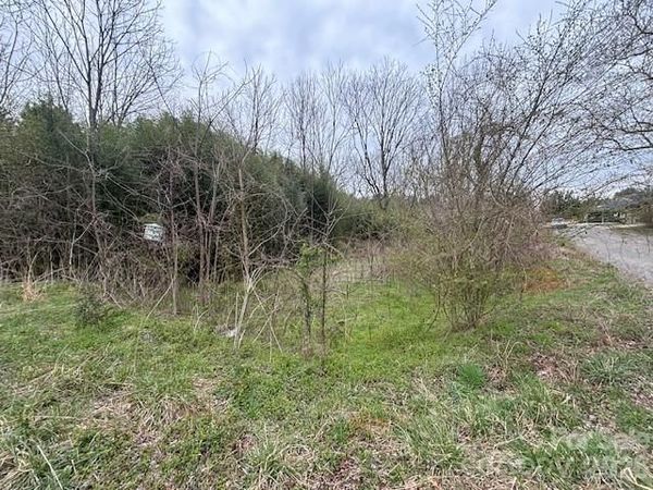 99999 Tatoonie Lane , Asheville, NC 28804