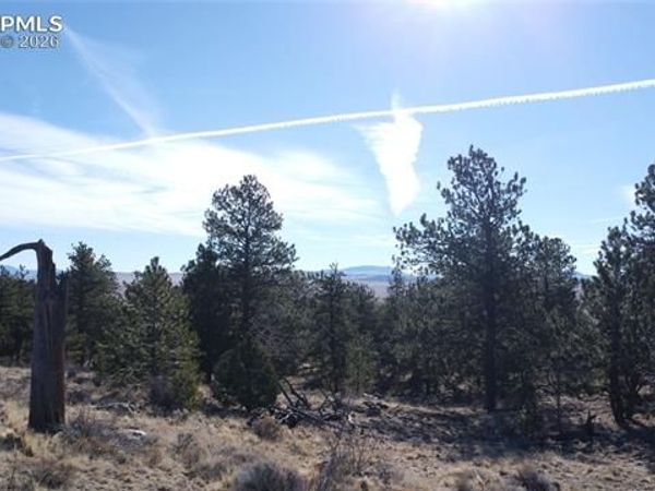 52 Bit Way, Hartsel, CO 80449