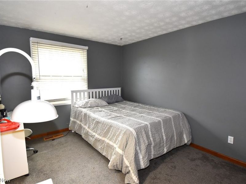 804 Texas Avenue , Mc Donald, OH 44437 Photo 13