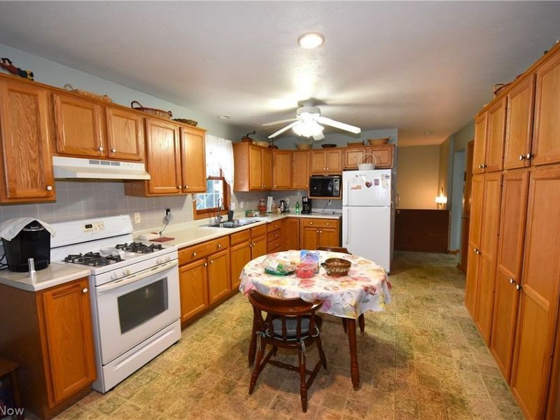 804 Texas Avenue , Mc Donald, OH 44437 Photo 17