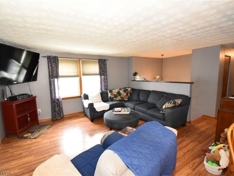 804 Texas Avenue , Mc Donald, OH 44437 Photo 4