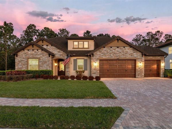 29256 PICANA LANE, WESLEY CHAPEL, FL 33543