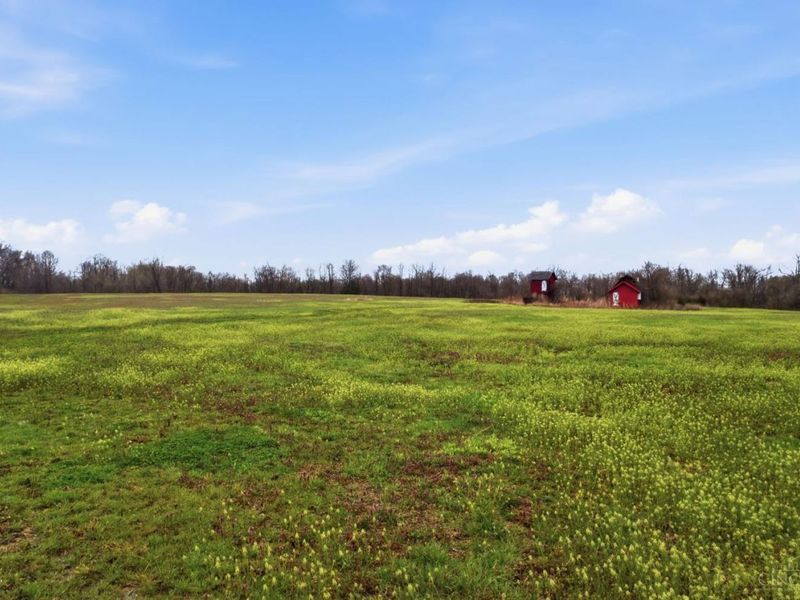 9897 State Route 125, Byrd Twp, OH 45168 Photo 6