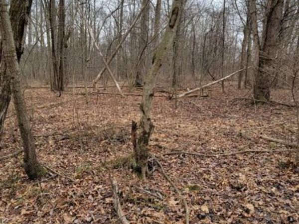 Lot 11 TANNIN WAY, DAUPHIN, PA 17018