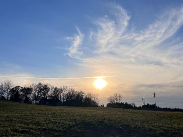 23804 Hall Drive , Lakeville, MN 55044