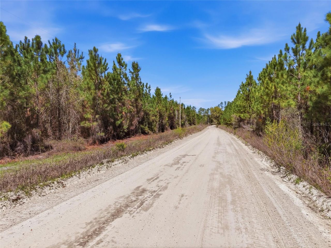 Tbd SE Pounds Hammock Road , Lake City, FL 32025 Photo