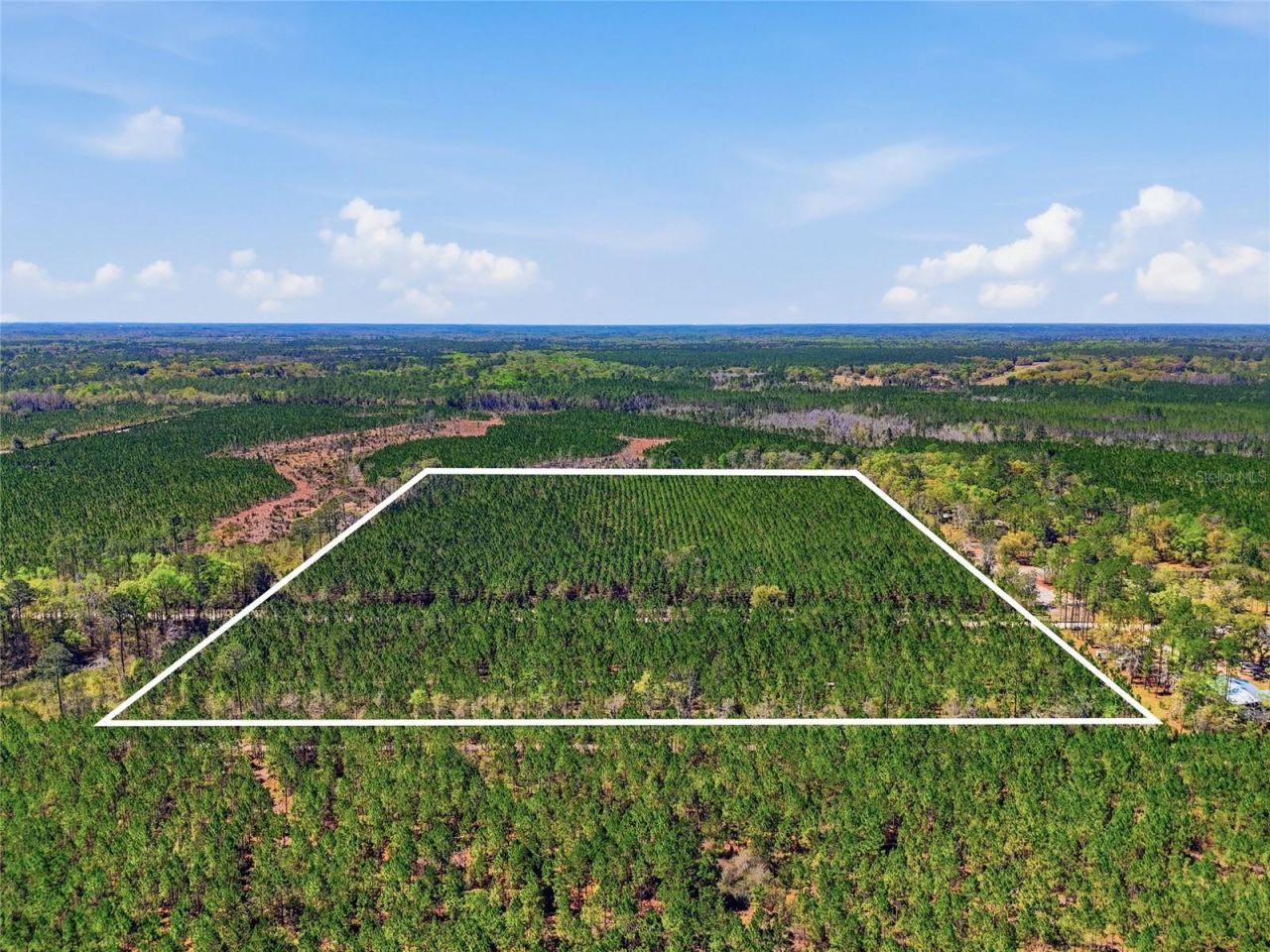 Tbd SE Pounds Hammock Road , Lake City, FL 32025 Photo