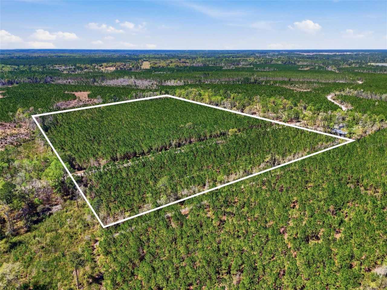 Tbd SE Pounds Hammock Road , Lake City, FL 32025 Photo