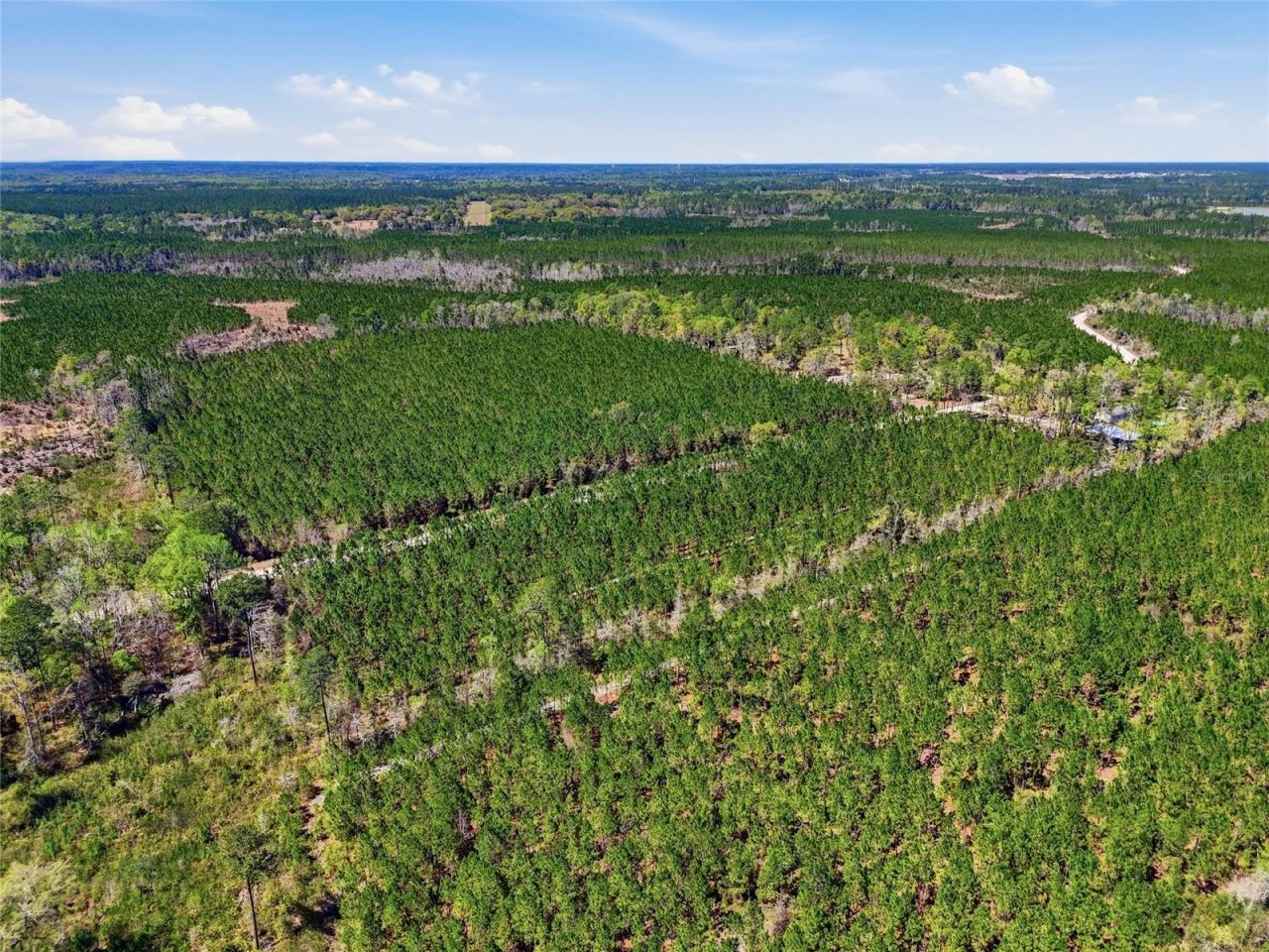 Tbd SE Pounds Hammock Road , Lake City, FL 32025 Photo