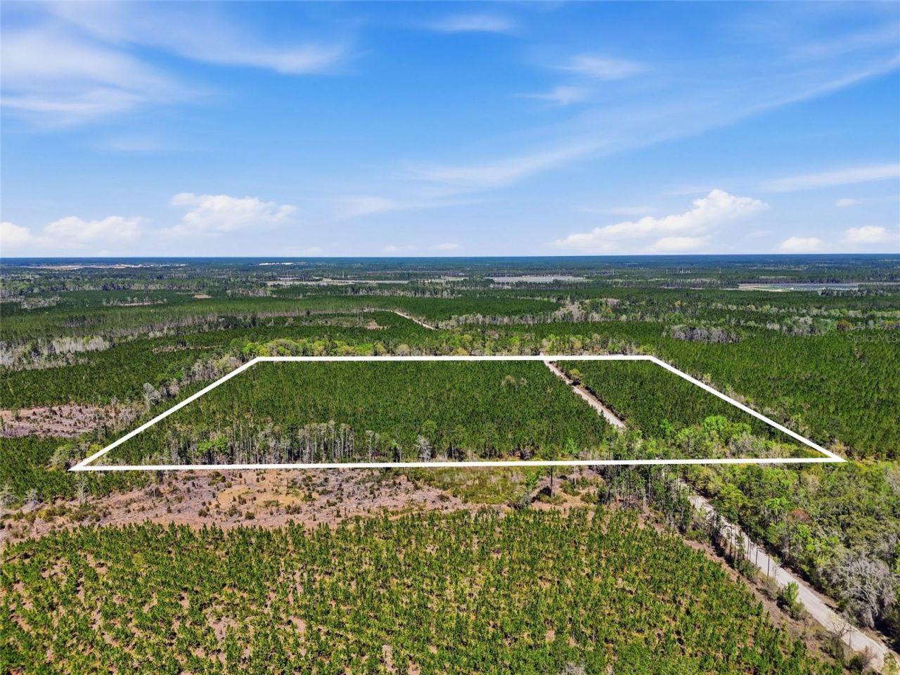 Tbd SE Pounds Hammock Road , Lake City, FL 32025 Photo