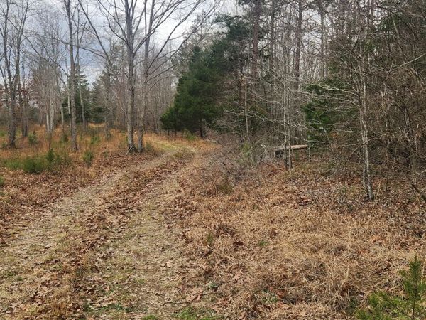 0 Nine Mile Ridge, Duck River, TN 38454