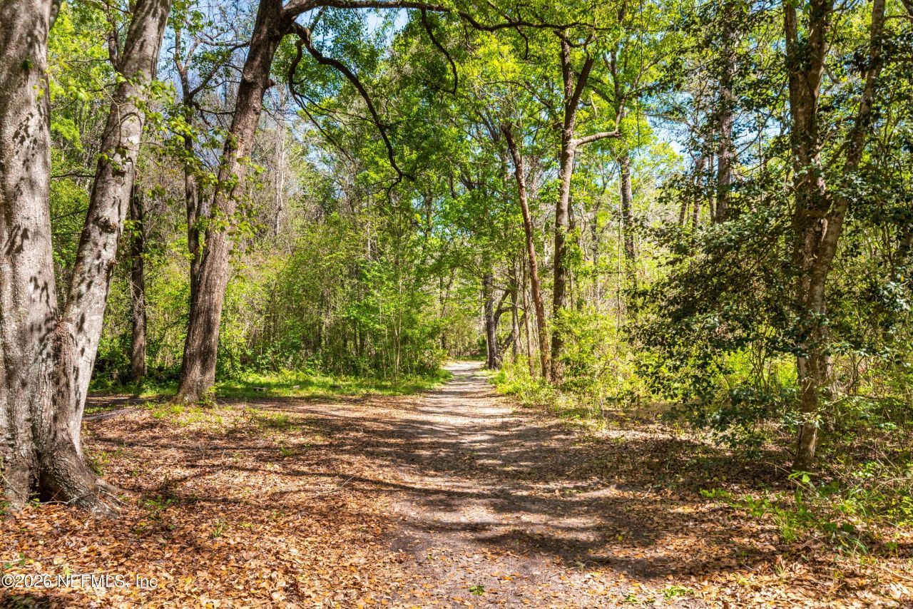 14992 Water Oak Lane, Sanderson, FL 32087 Photo
