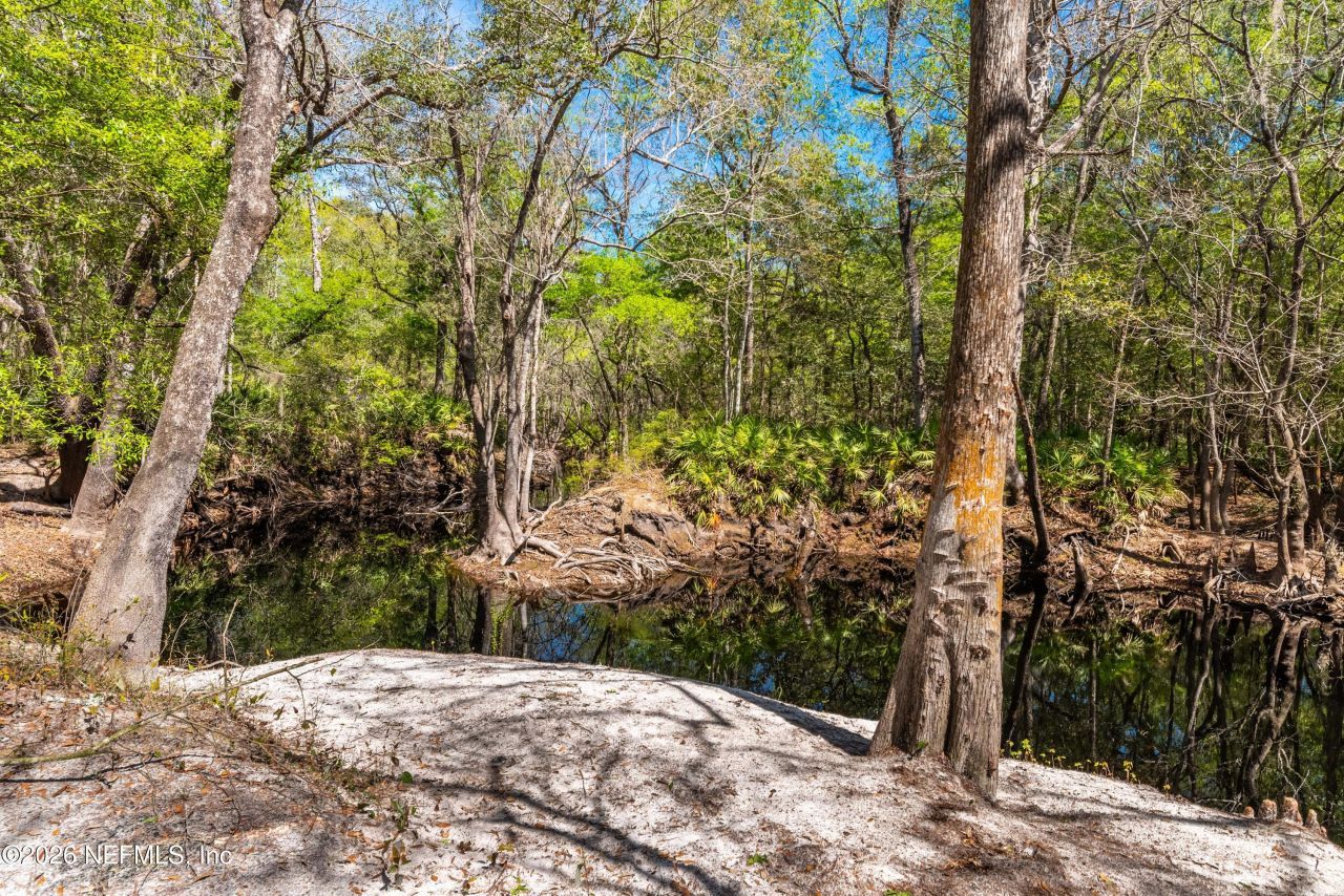 14992 Water Oak Lane, Sanderson, FL 32087 Photo