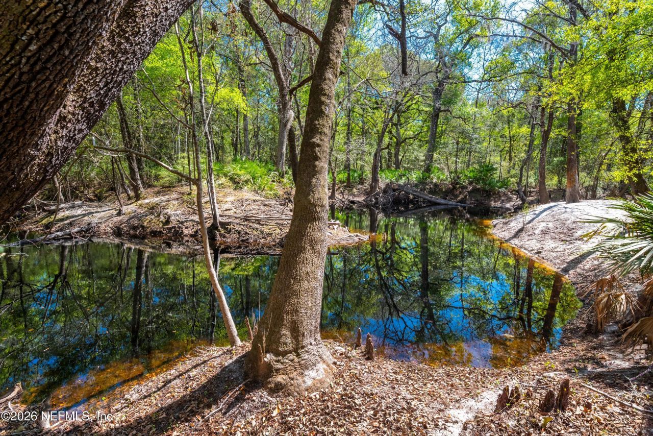 14992 Water Oak Lane, Sanderson, FL 32087 Photo