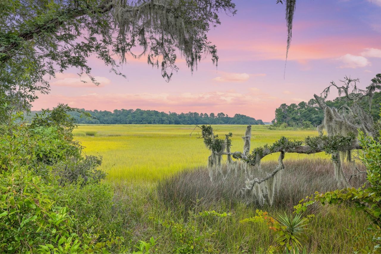 1032 Avenue Of Oaks Photo 30