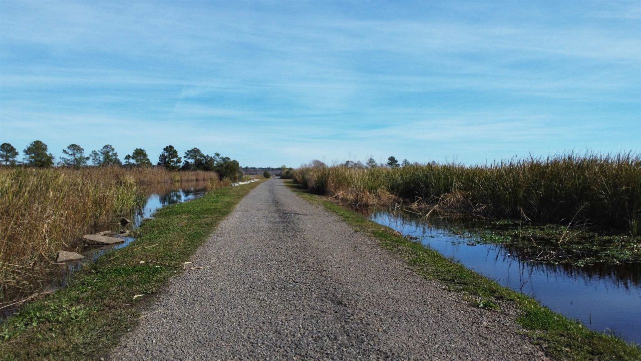 75 Haig Ct. Photo 51