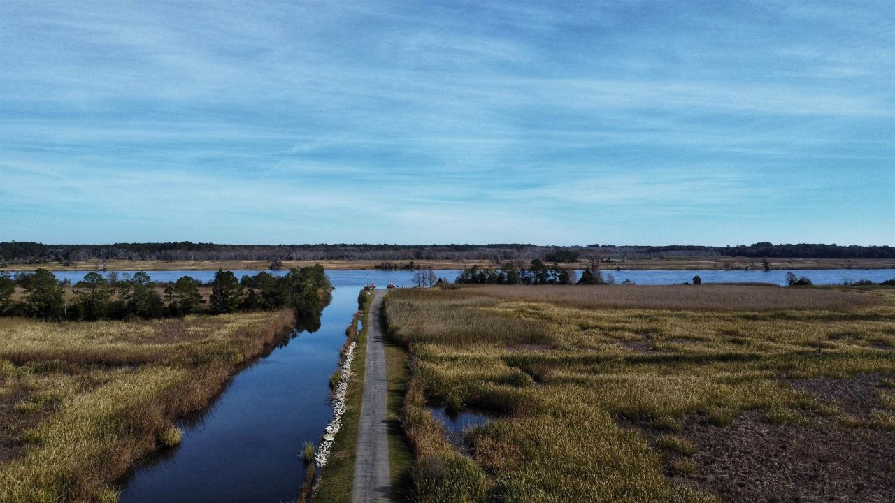 75 Haig Ct. Photo 53