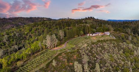 984 Crestview Dr, Murphys, CA 95247 Photo