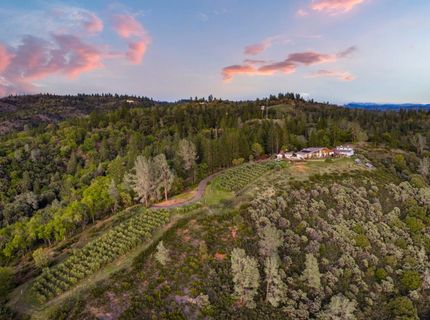 984 Crestview Dr, Murphys, CA 95247 Photo
